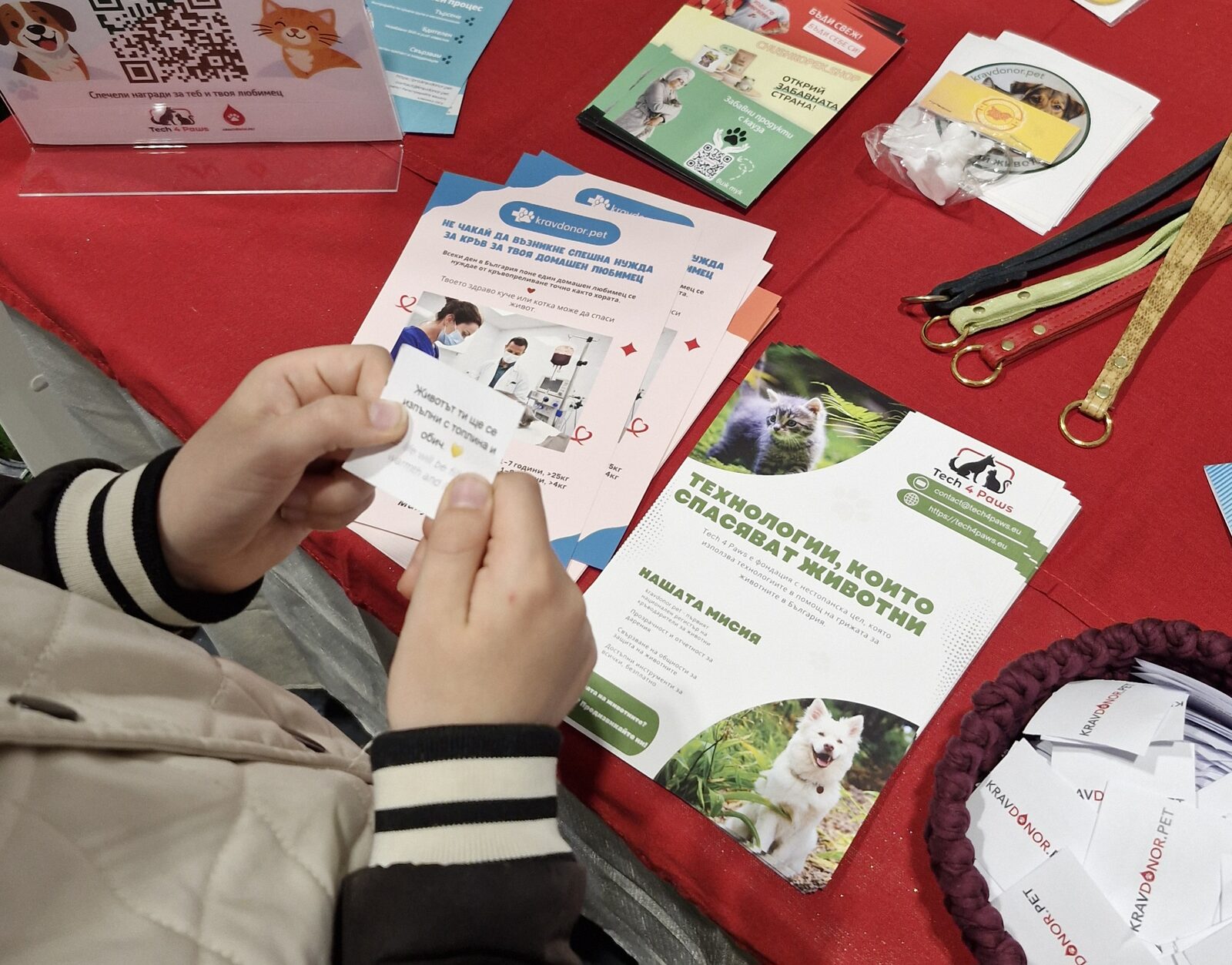 Visitor browsing our materials